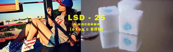ПСИЛОЦИБИНОВЫЕ ГРИБЫ Абаза