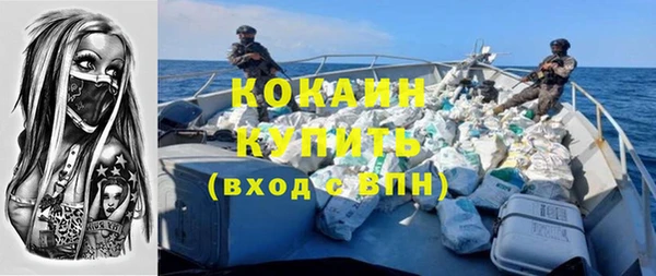 ПСИЛОЦИБИНОВЫЕ ГРИБЫ Абаза