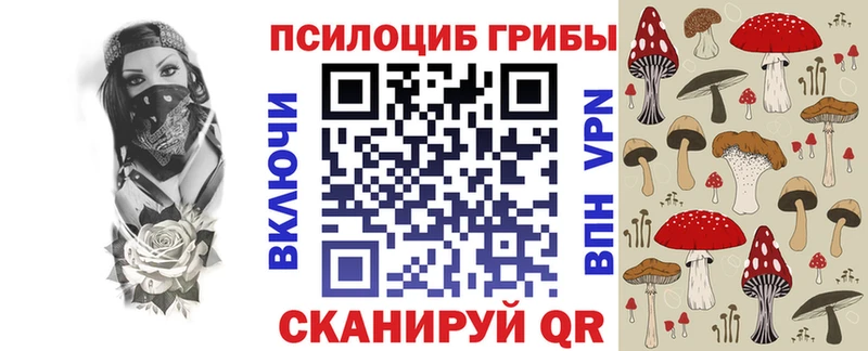 это как зайти  Тбилисская  Галлюциногенные грибы Magic Shrooms 
